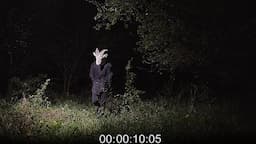 Most Disturbing Encounters in the Woods