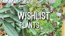 Got a Wishlist Plant! Local Plant Shopping Evergreen Garden Center