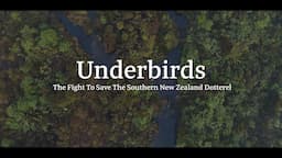 Underbirds: The Fight to Save the Southern New Zealand Dotterel by students at University of Otago.