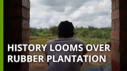 Exclusive: Women allege sexual exploitation on a Liberian rubber plantation