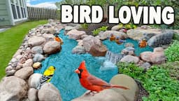 IF YOU BUILD IT... THEY WILL COME! - Bird Loving Stream