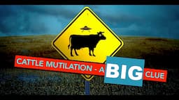 Cattle Mutilation - a horrible BIG picture - 'Prof' Simon