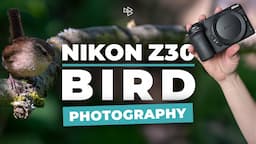 I Used a Nikon Z30 for Bird Photography! Here's What Happened