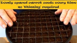 How to grow Carrots using pelleted seeds a bucket & a grid pattern to help sow your seeds thinly