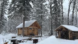 SUPRISE!  WINTER just showed up!! Snowstorm at the TINY CABIN #bluetti #bluettiac240