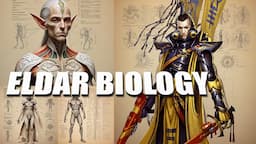 Eldar Biology and Anatomy Compared to Humans - Explained