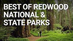 Top Things You NEED To Do In Redwood National Park, California