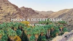 IS THIS REAL? Hiking through a DESERT OASIS in Palm Springs