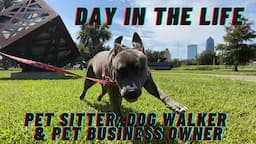 Day in the Life of a Pet Sitter, Dog Walker, and Pet Business Owner