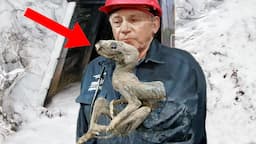 10 Most Bizarre Creatures People Thought Were Fake But Aren't