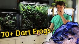 Complete Frog Room Tour - 2023 Edition