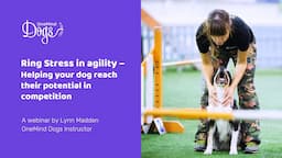 FREE Webinar: Ring Stress in dog agility – Helping your dog reach their potential in competition