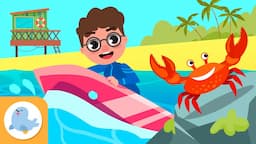 BEACH Vocabulary for Kids 🏖️​🌊​🐚​ Compilation