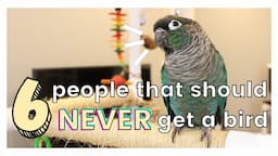 SHOULD YOU GET A BIRD? 6 TYPES OF PEOPLE THAT SHOULD NEVER GET A BIRD