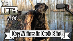 Dog Won't Stop Whining in the Duck Blind! | Ep: #190