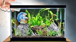 EASY Planted Tank Tutorial for Betta Fish (Step by Step)