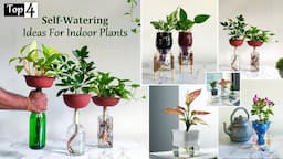 Top 4 Self Watering Ideas for your Indoor Plants-Automatic Watering Systems for Plants//GREEN PLANTS