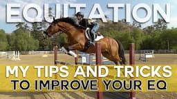 Exercises for Improving Equitation | ZL Equestrian Tips & Lessons