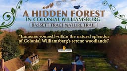 A Hidden Forest in Colonial Williamsburg 🌿 | Bassett Trace Nature Trail | 1.4 Mile Hike to Clubhouse