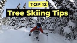 How To Ski Trees - 12 Tips To Improve Your Tree Skiing