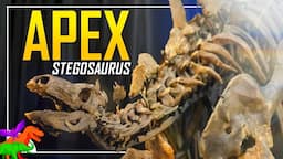 Meet Apex the Stegosaurus Before He’s Gone! – The Biggest And Most Complete Stegosaurus Ever Found?