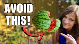 Watermelon Mistakes to Avoid at ALL COSTS!