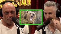 Harland Williams Has a Tapeworm and Was Attacked by a Grizzly Bear