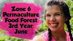 Zone 6 Permaculture Food Forest Tour 3rd Year: June