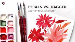 Are the Princeton Petals and Dagger Brush the Same?