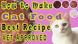 Healthy and Tasty: Homemade Cat Food How-To Make Cat Food at Home  | Taurine supplement Added