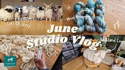 💦Studio Vlog #43 - Sheep, Sheep, Sheep (Cow), Sheep! Craft fair, dyeing wool, workshop & walks! 💦