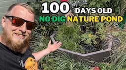 WHATS HAPPENED! Three months into the NO DIG NATURE POND. (Your questions answered)