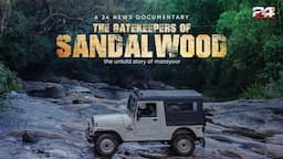 The Gatekeepers of Sandalwood | 24 News Documentary | Marayoor Sandalwood