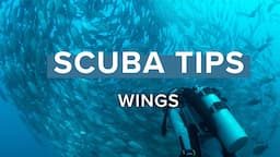 Wings | Top Tips | @simplyscuba