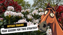 Peak Season to Unlock This Very Effective Betfair Trading Strategy