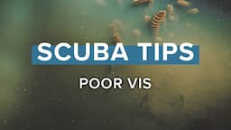 Poor Visibility | Scuba Tips | @simplyscuba