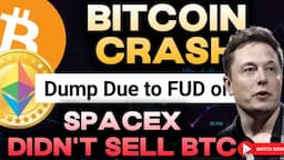 Bitcoin Quick update || Crashing Again || 24000$ Big Liquidity still not swept || Must Watch