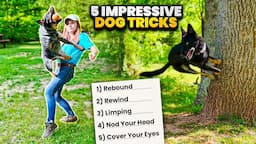 Amaze Your Friends with These 5 Easy-to-Learn Dog Tricks