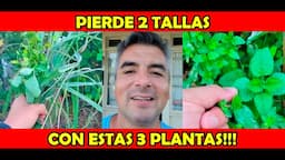 BEBIDA DE 3 PLANTAS que te ayuda a PERDER PESO!!!📉💪