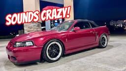 Cammed Terminator Cobra Sounds Crazy with new exhaust! CAMS ARE CHOPPING