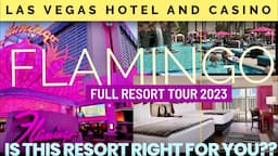 Flamingo Las Vegas 2023 FULL resort tour GO room and POOLS OPEN!