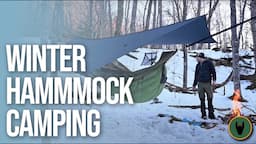 Hammock Camping With a Dog in Winter