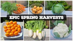 EPIC Spring Garden Harvests, Gardening Tips & Garden April Tour!