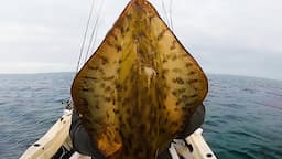 Fishing Port Phillip Winter Bay Melbourne Australia #squid #reedysrigs