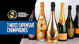 7 Most Expensive Champagnes