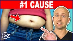 #1 WORST Cause of Belly Fat