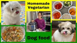 Homemade Healthy Vegetarian Dog Food Recipe | Cooking for Your Dog🐶