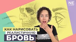 Как нарисовать реалистичную бровь