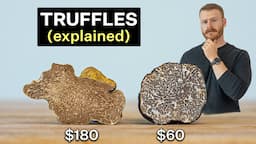 Why are Truffles so expensive? Are they worth it?