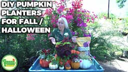 DIY Creating Fall Flower Arrangements in Pumpkins! Cute Halloween Idea!